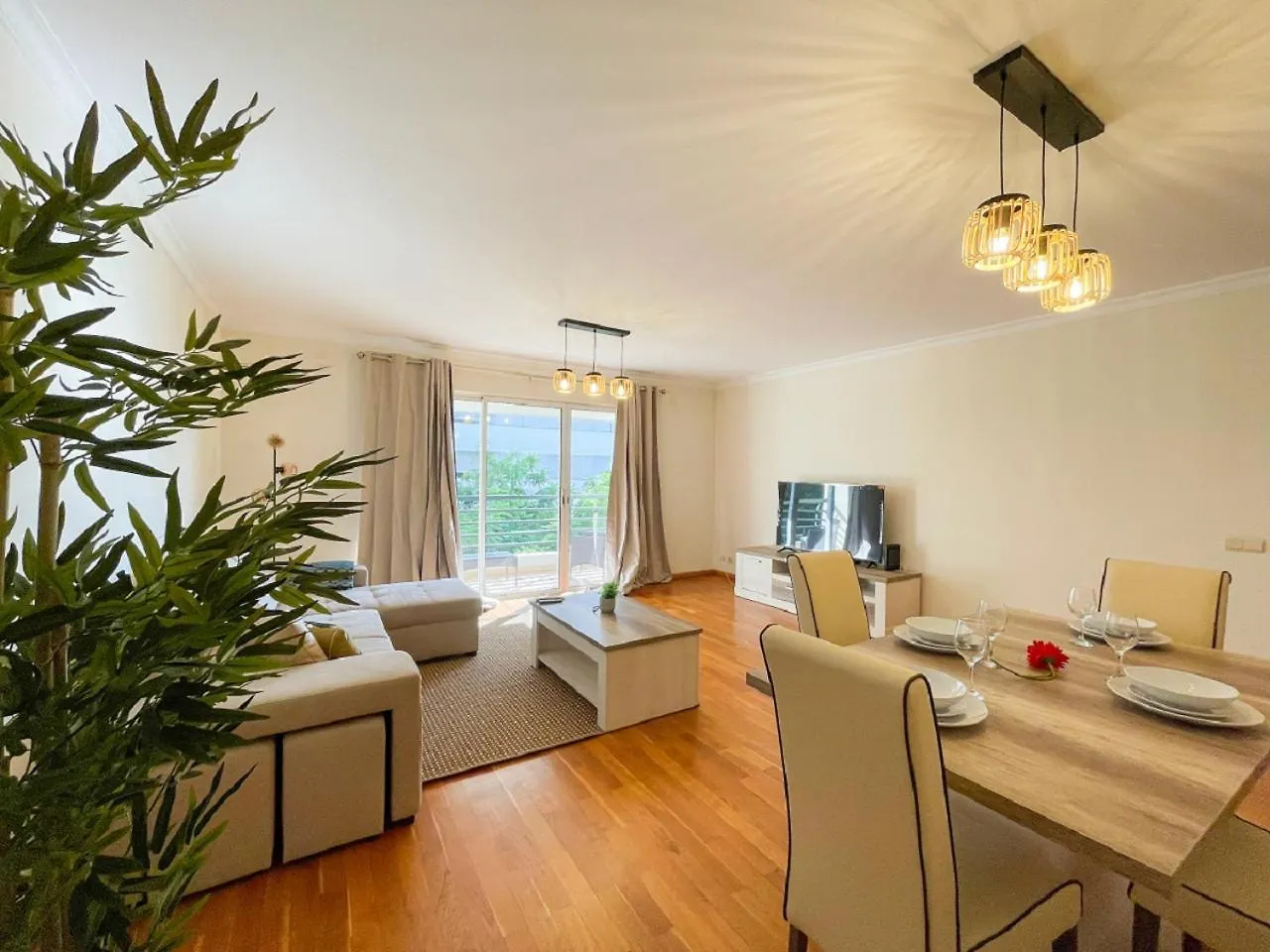 Suite Elizabeth Funchal  Apartment